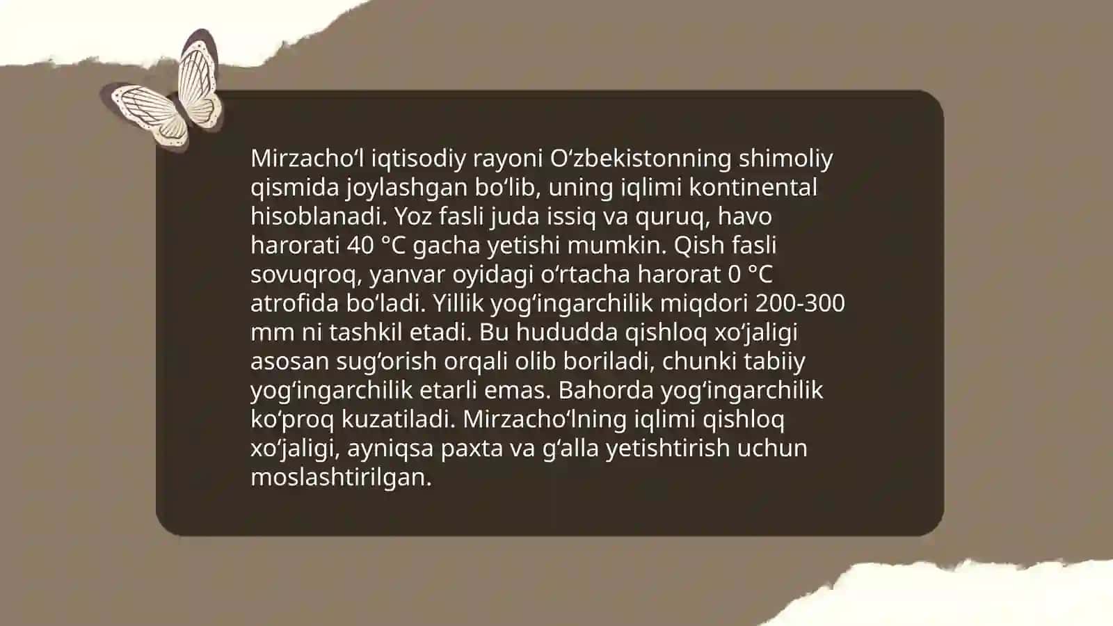 Mirzacho‘l iqtisodiy rayoni 4