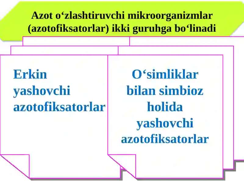 O‘simliklarning azot bilan oziqlanishi 4