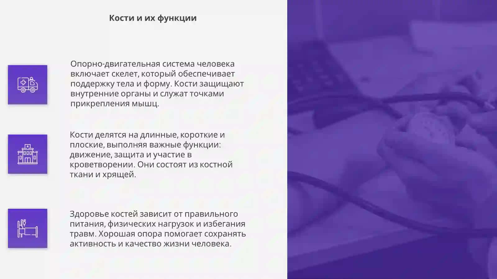 Опорно-двигательная система человека 4