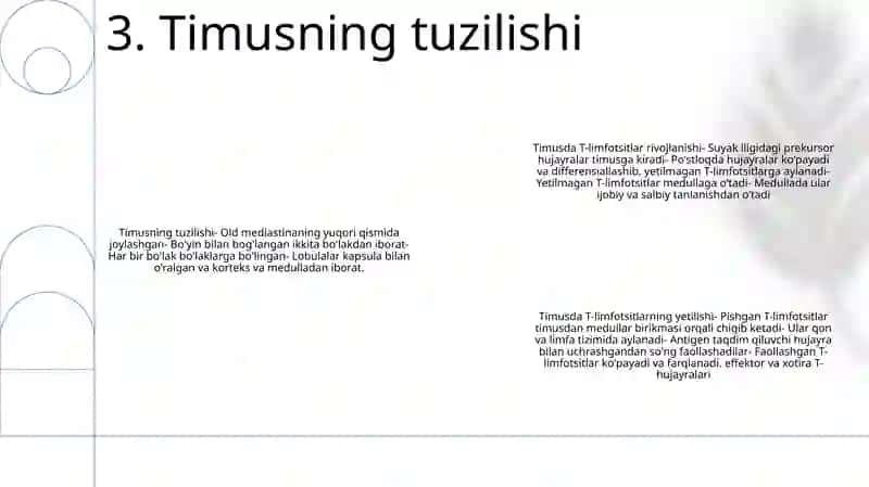 Timusdagi T-Limfositlarning Yetilish Jarayoni 4