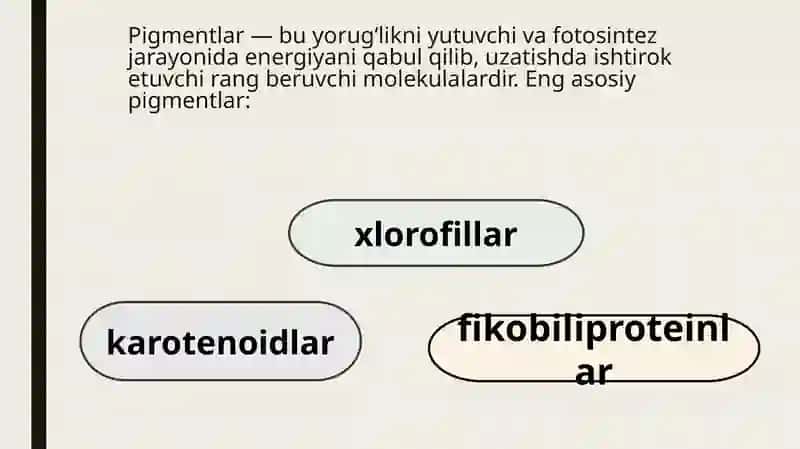 Suvotlar biomassasidagi pigmentni aniqlash 4