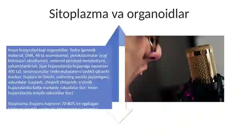 Insonning hujaralar sistemasi 4