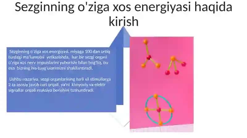 Myuller va Gelmgols nazariyasi 4