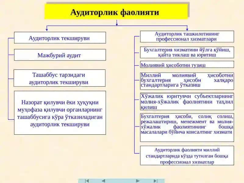 Аудитнинг ҳуқуқий-меъёрий асослари 4