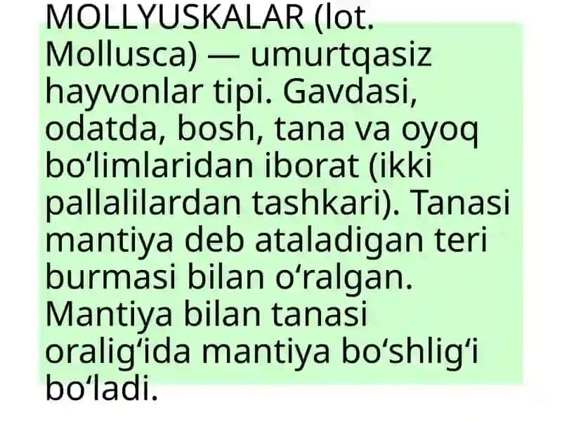Moluskalar tipi (Mollusca) 4
