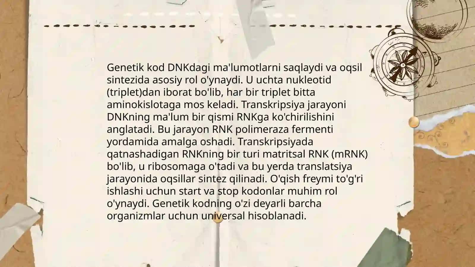 Transkripsiya 4