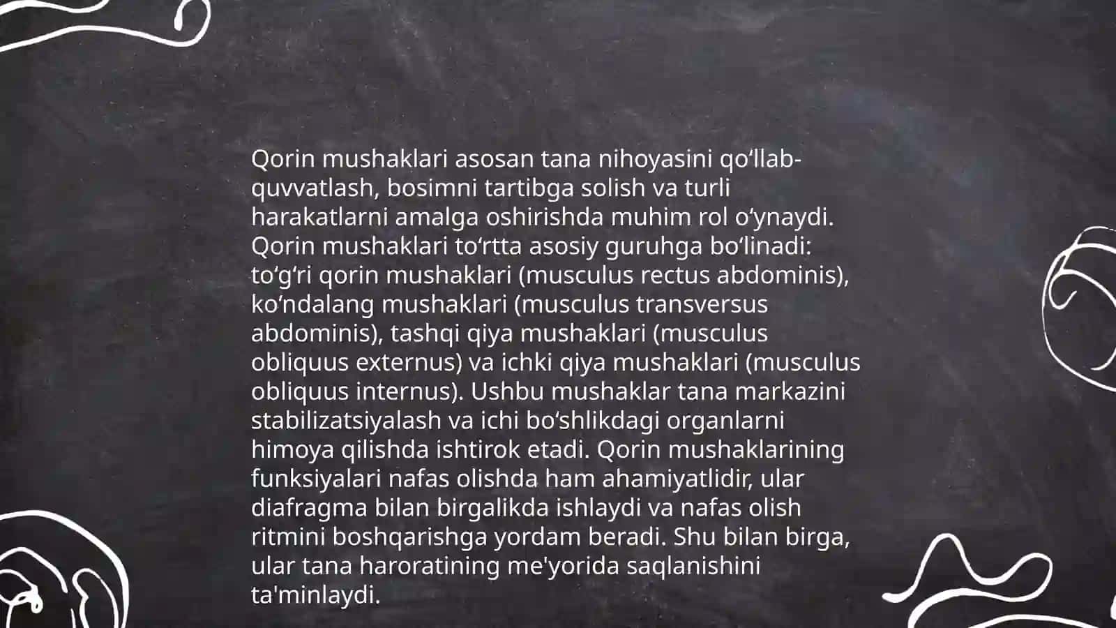 Qorin muskulari 4