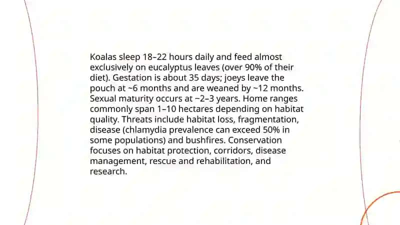 Kangaroo species and biology 4