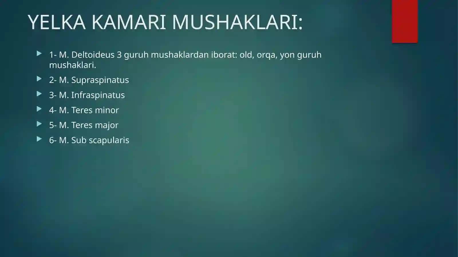 Yelka kamari qo'l sohasi 4