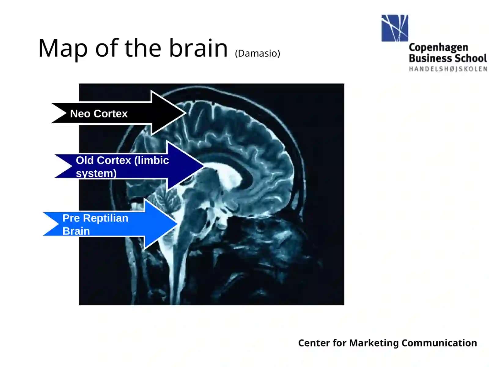 Neuroeconomics 4