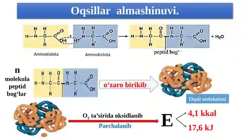 Biologiya 4