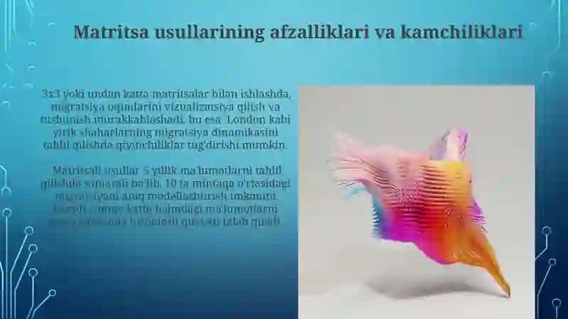 Migratsiya Matritsalarining Turlari va Ularning Xususiyatlari 4