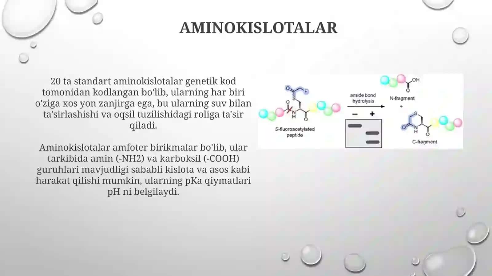 Peptidlar va oqsillar 4