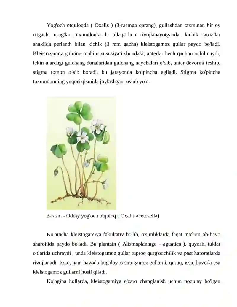 Gulli o'simliklarning changlanishi va urug'lanishi 4