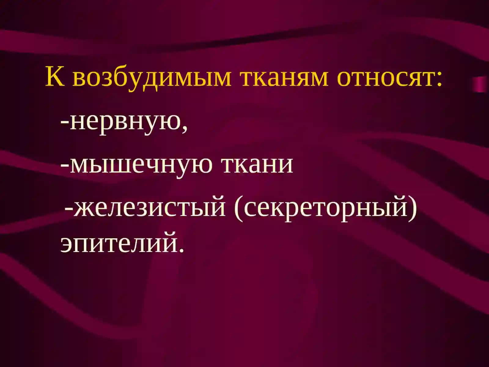 Физиология 4