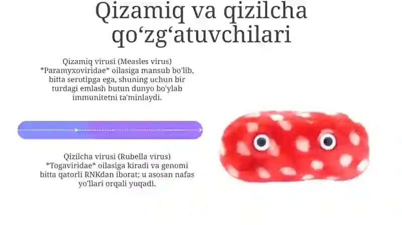 Qizamiq va qizilcha qoʻzgʻatuvchilari 4