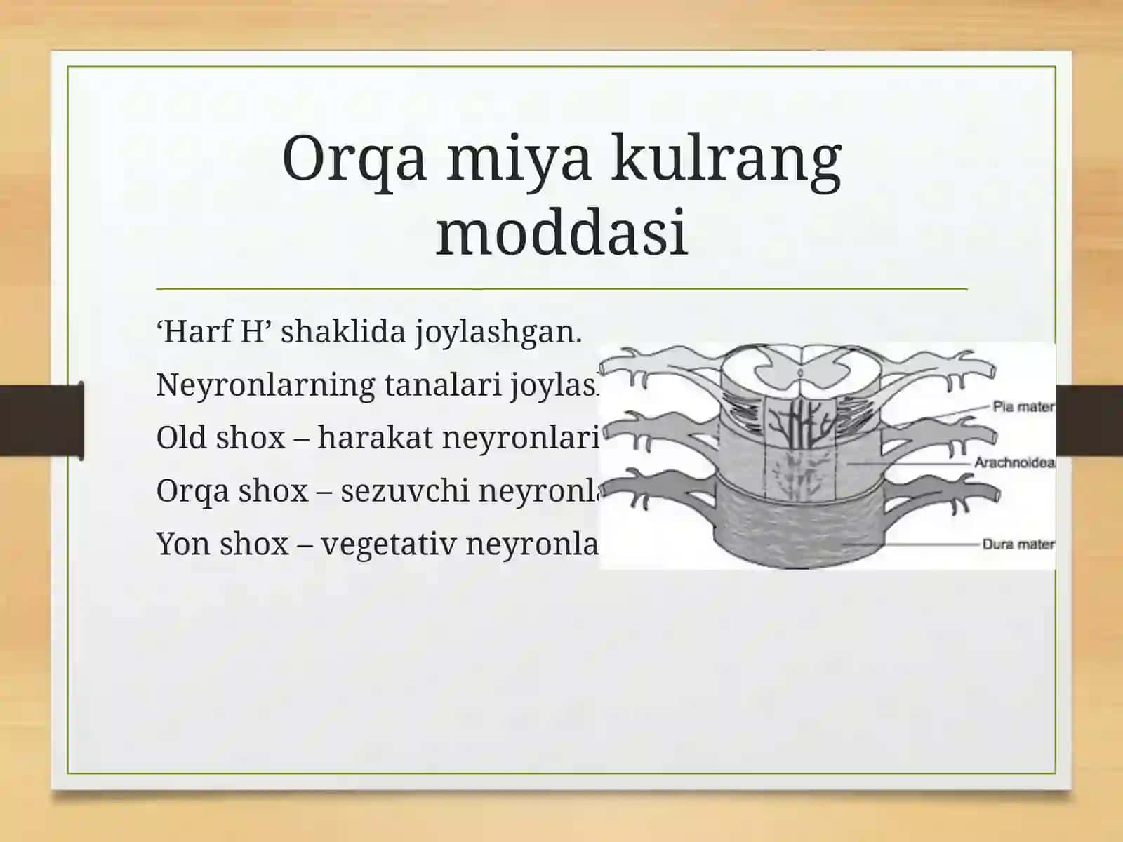 Orqamiyafiziologiyasi 4