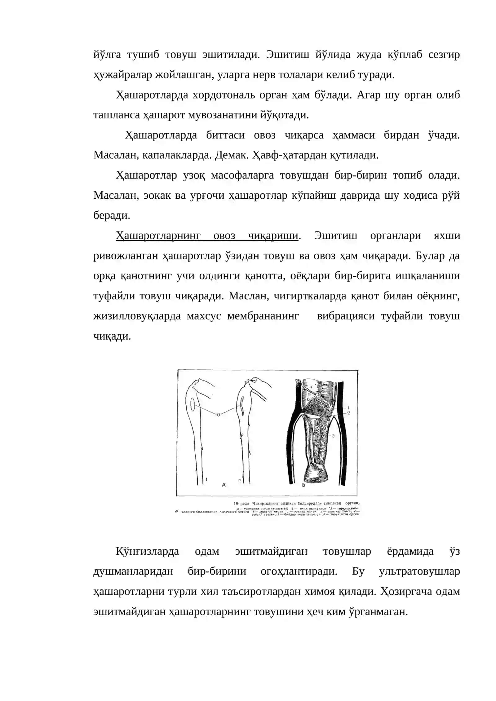 Нерв системаси ва сезги органлар 4