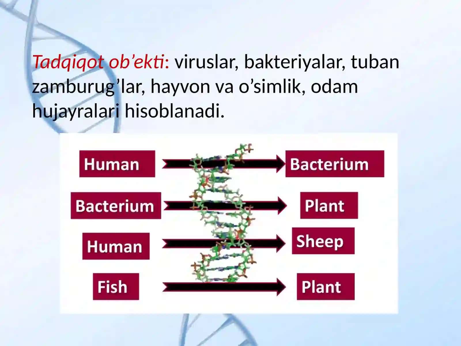 Hayvonlar gen muxandisligining muammo va istiqbollari 4