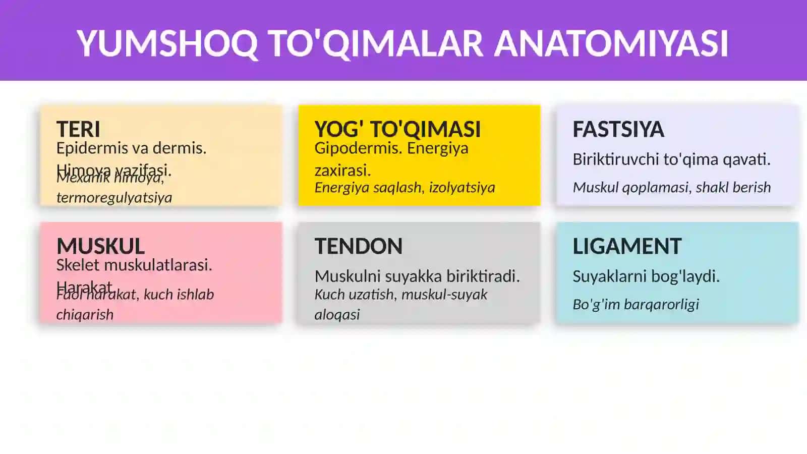 YUMSHOQ TO'QIMALARNING YOPIQ SHIKASTI 4