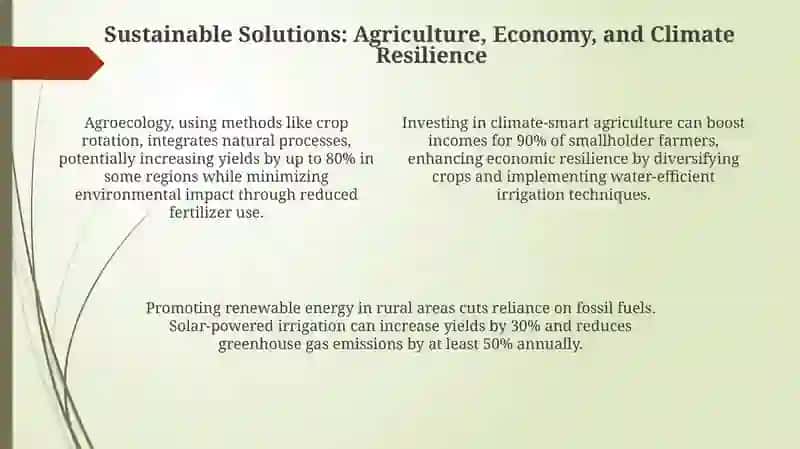 Understanding Poverty and Hunger: Root Causes and Global Impact 4