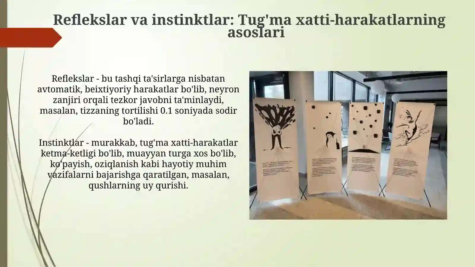 Tug‘ma va individual xatti harakatlar 4