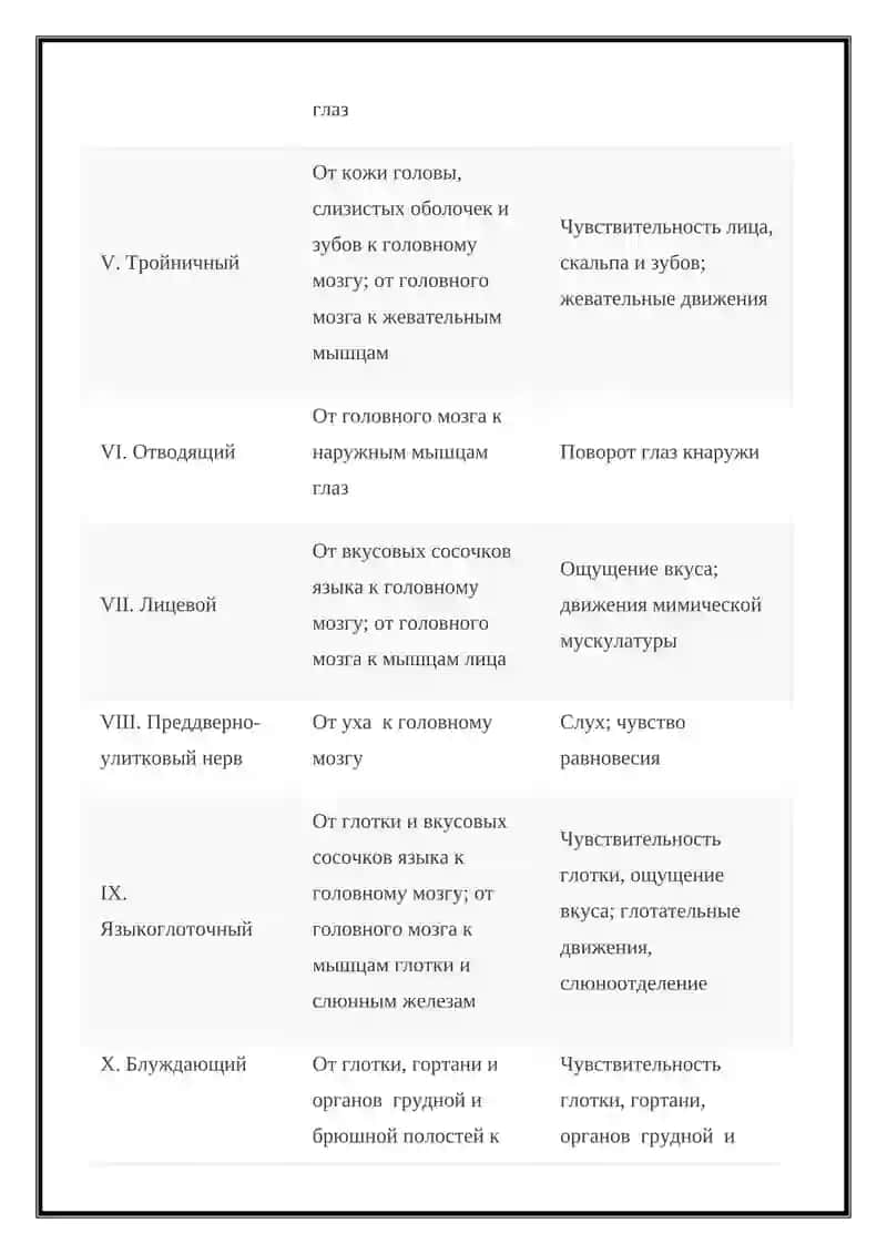 Оболочки головного мозга 4
