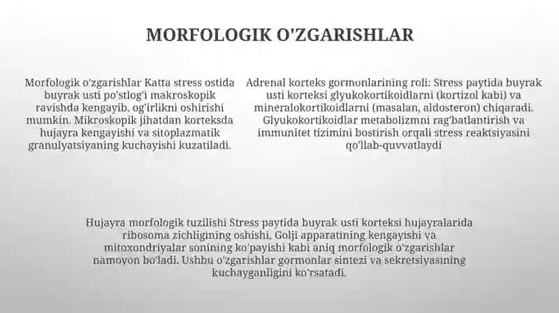 Buyrak usti bezlarining stress gormonlarining roli 4