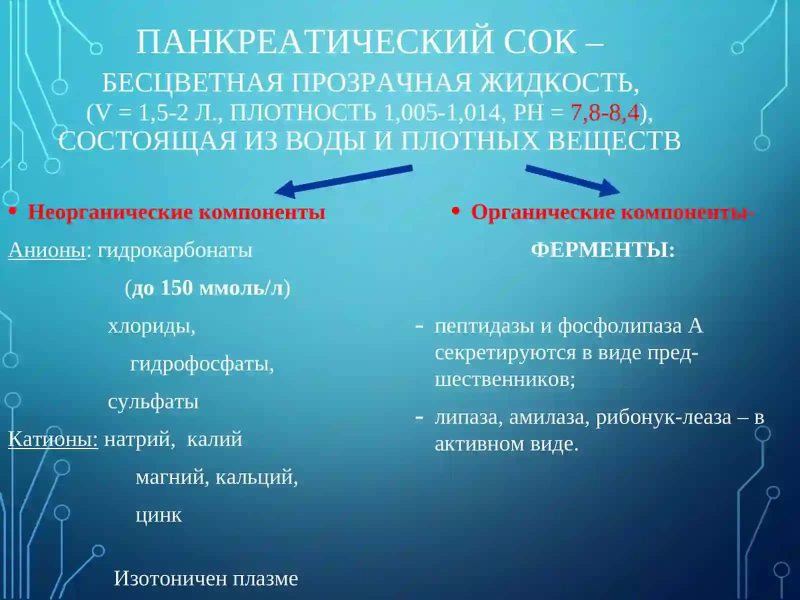 РОЛЬ ЖЕЛЧИ В ПИЩЕВАРЕНИИ 4
