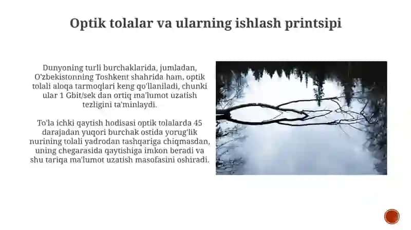 To'liq ichki qaytish 4