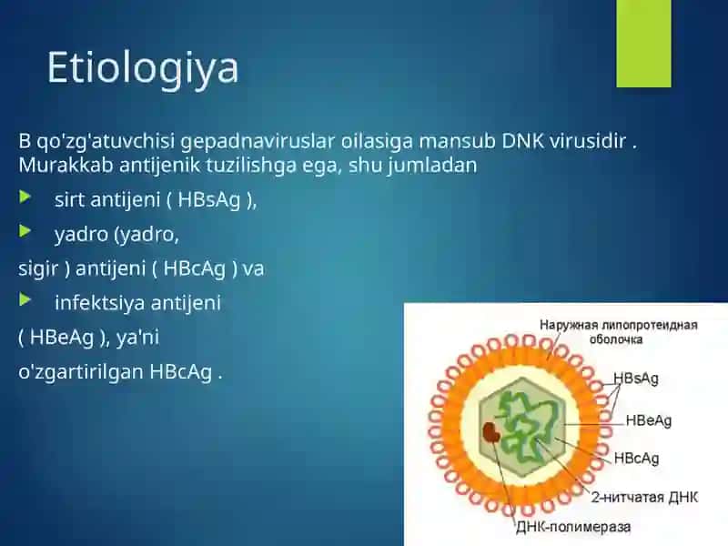 Virusli gepatit B ni davolash 4