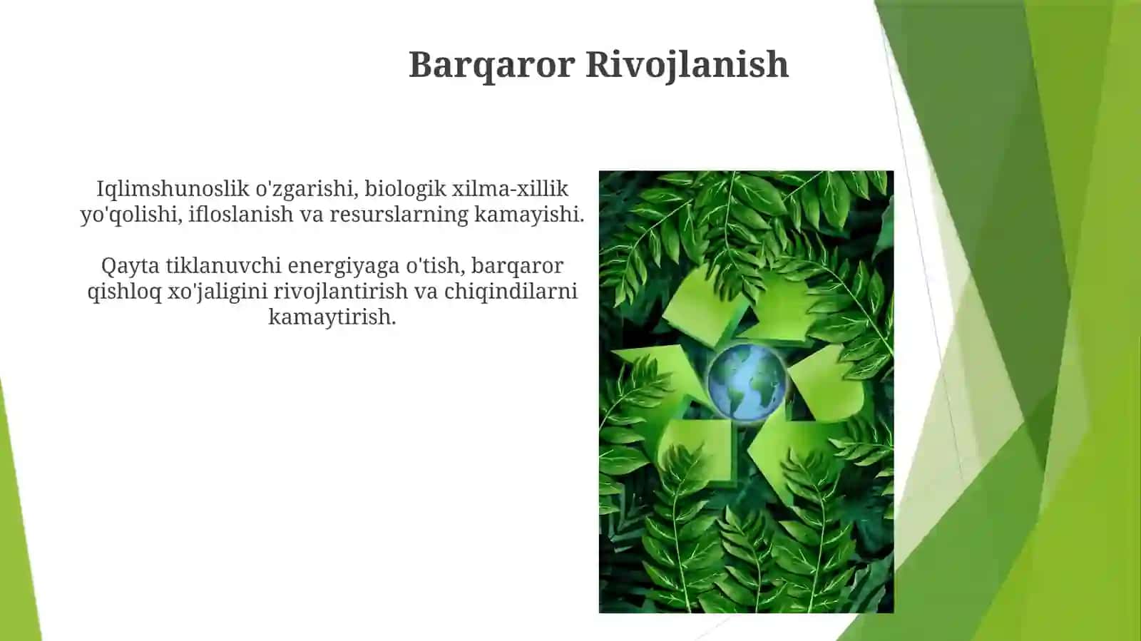 Zamonaviy ekologik muamolar 4