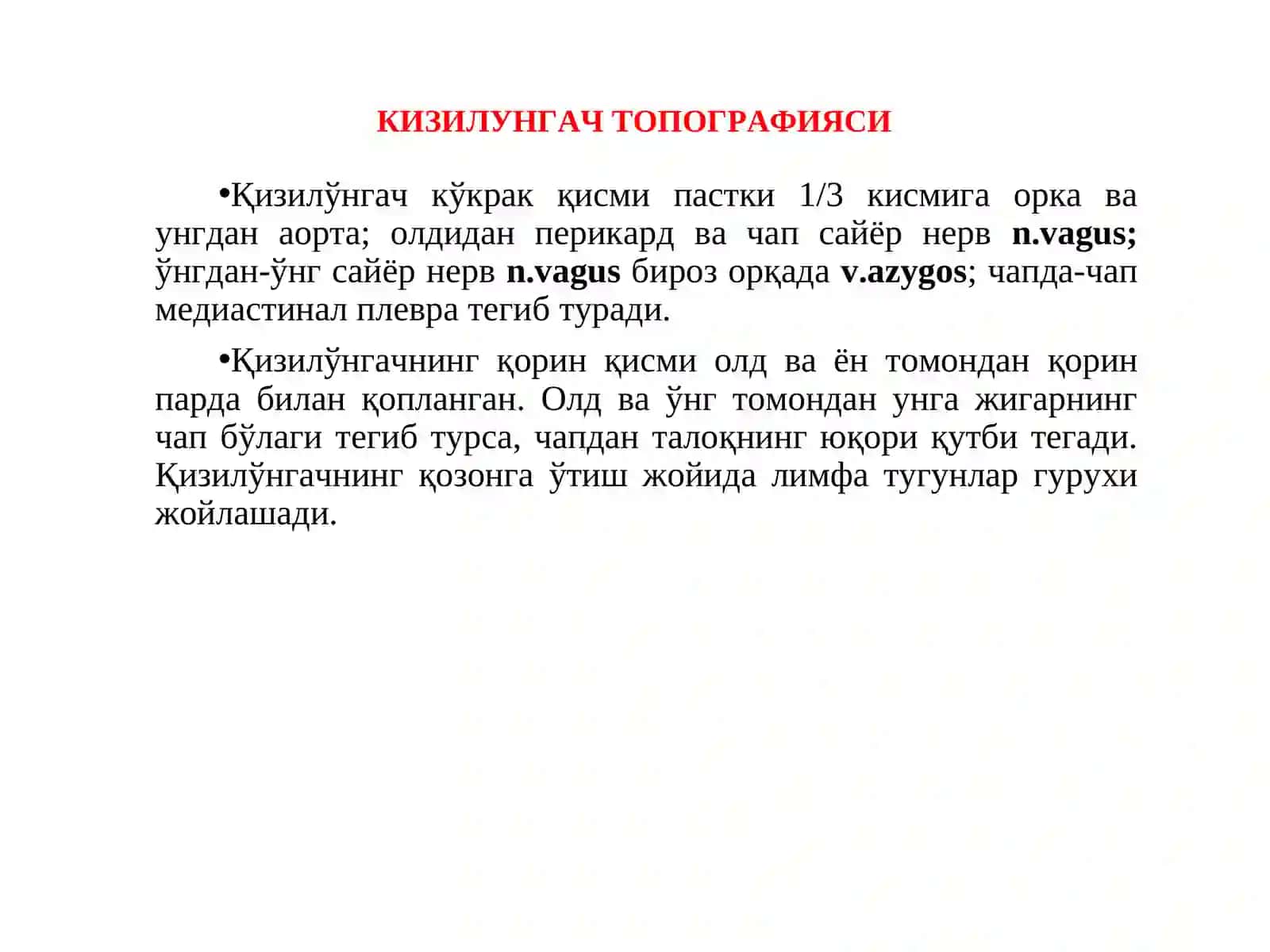 МАЪРУЗА №2 ҚИЗИЛУНГАЧ, ҚОРИН БЎШЛИҒИ АЪЗОЛАРИ ҲАҚИДА УМУМИЙ МАЪЛУМОТ. МЕЪДА. ИНГИЧКА ВА ЙЎҒОН ИЧАК: ТУЗИЛИШИ, ФАРҚЛАРИ 4