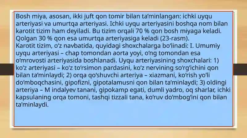 Bosh miyaning qon bilan taʼminlanishi 4