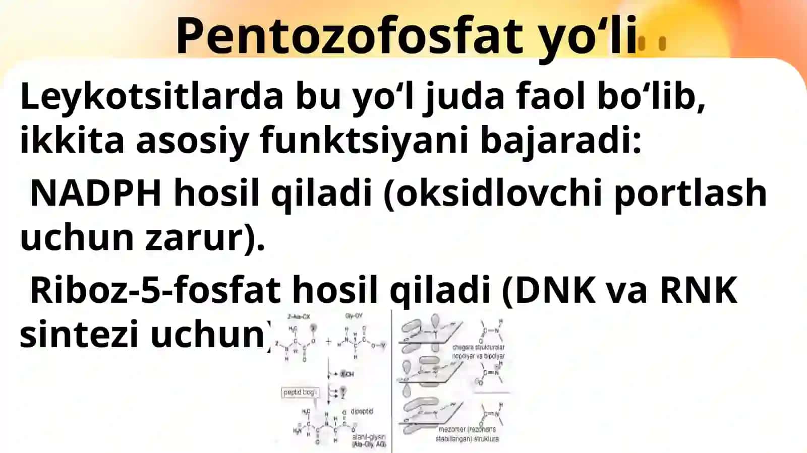 Leykotsitlar metabolizmi xususiyatlari 4