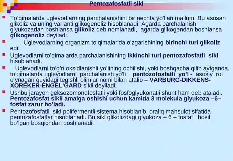 Glikogenning sintezi va parchalanishi 4