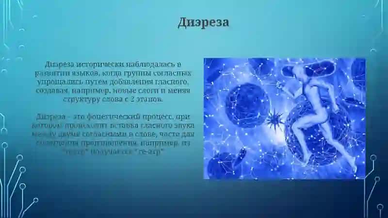 Гаплология 4