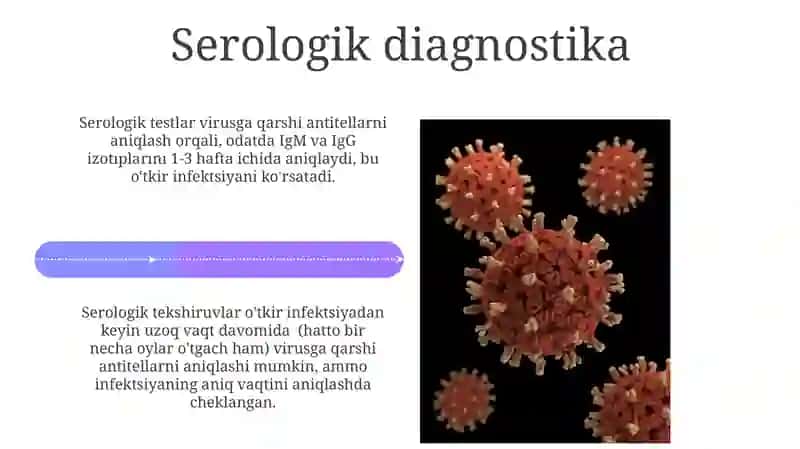 Koronaviruslarga. Harakteristika va laboratoriya tashxisi 4