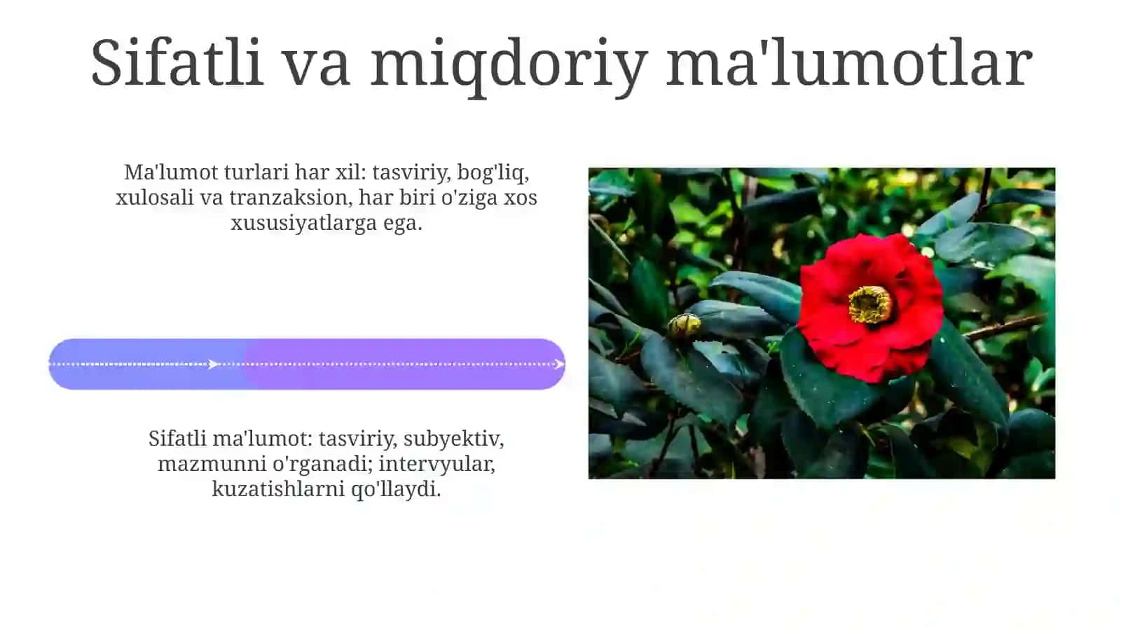 Axboratning turlari va xususiyatlari 4