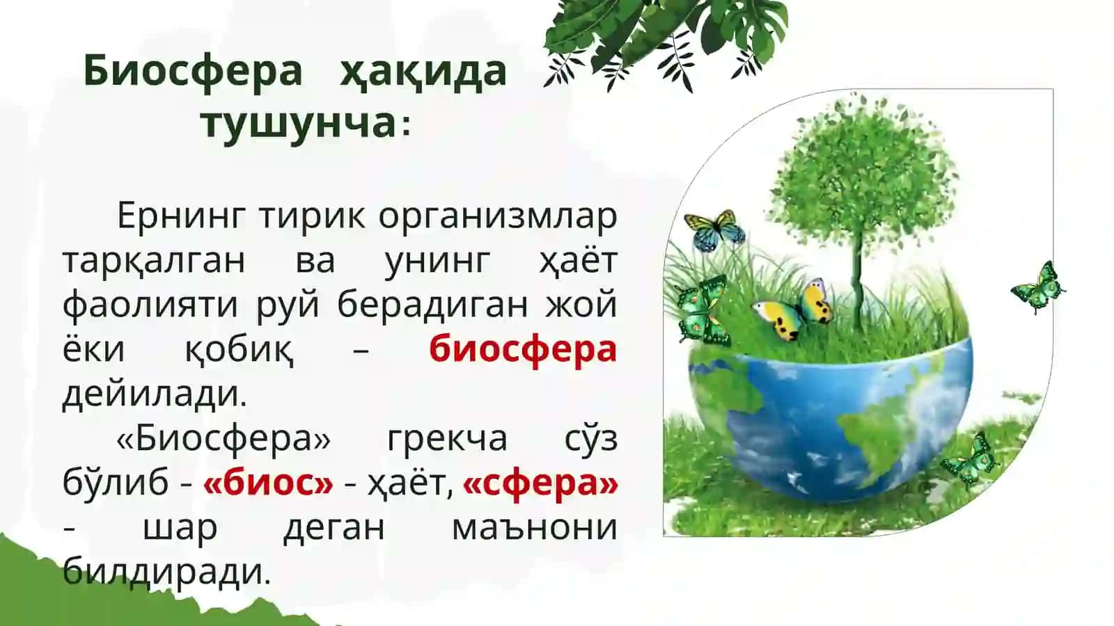 Биосфера ҳақида таълимот 4