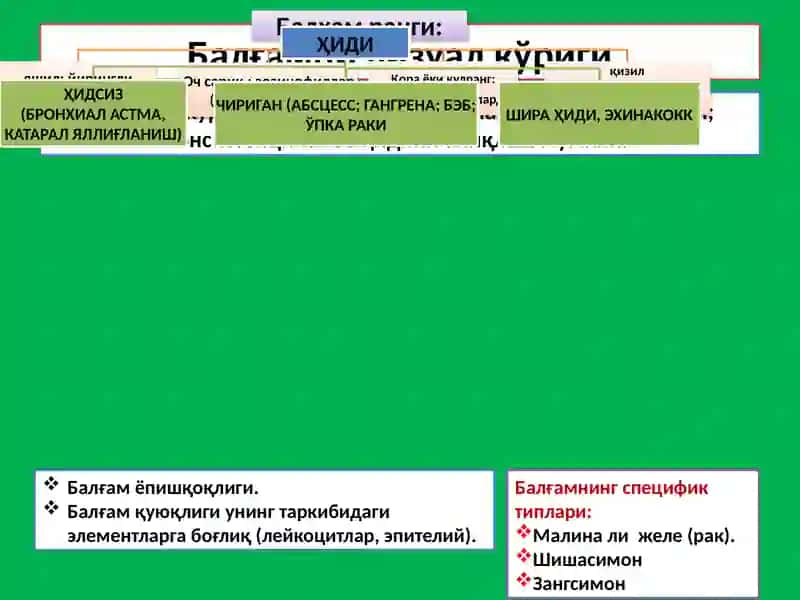 БАЛҒАМ ТАҲЛИЛИ 4