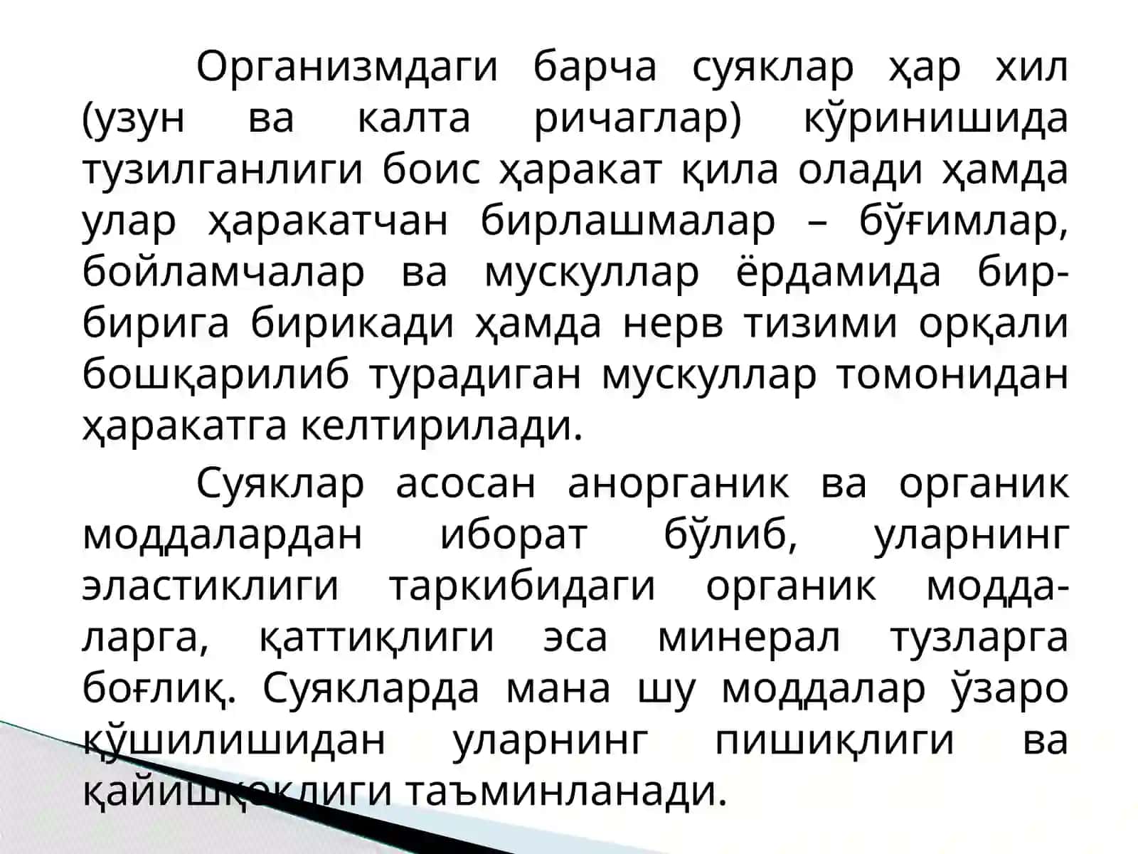 Таянч-ҳаракат тизимининг тузилиши ва аҳамияти 4