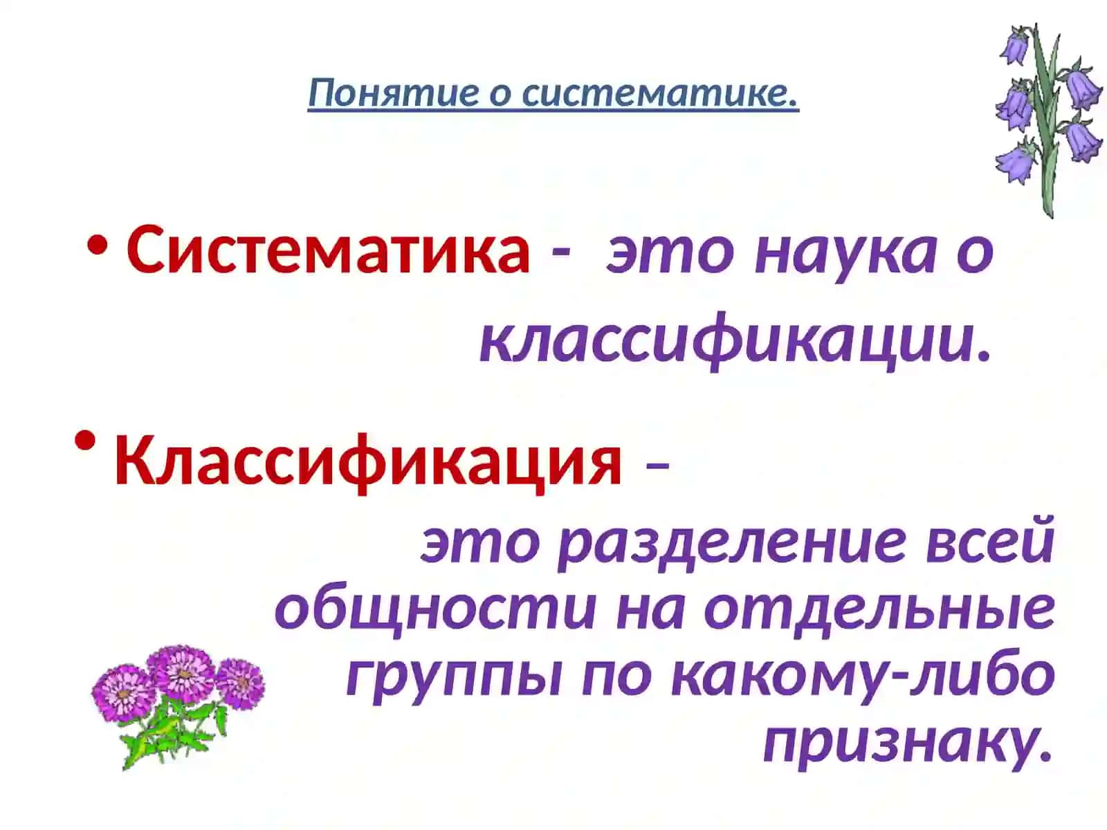 Систематика растений 4