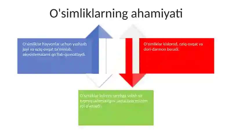 O'simliklar olami 4