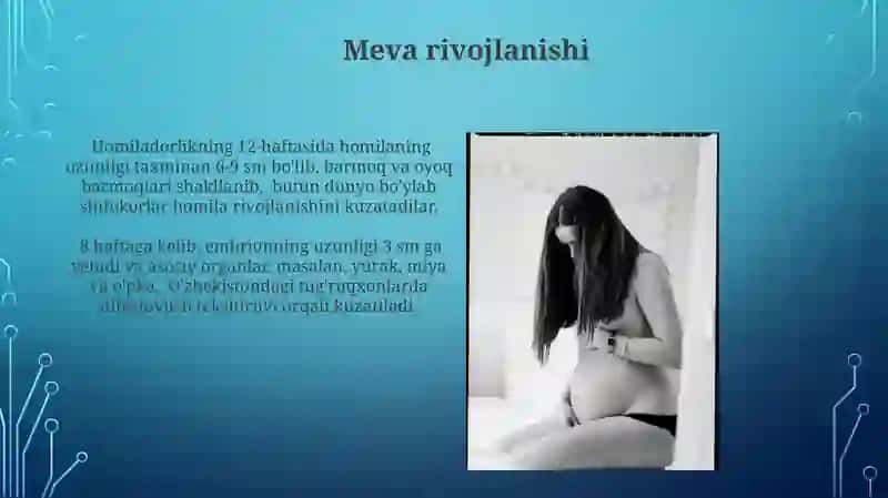 Homila rivojlanishi 4