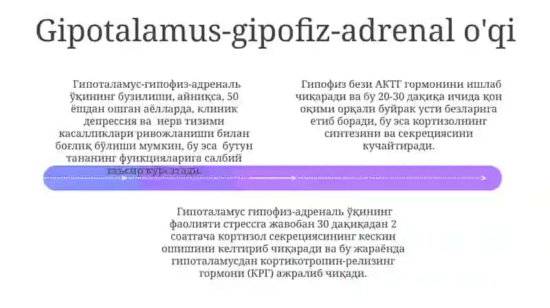 Organizimni nerv immun-endokrin boshqaruvi Salimjanovna 4