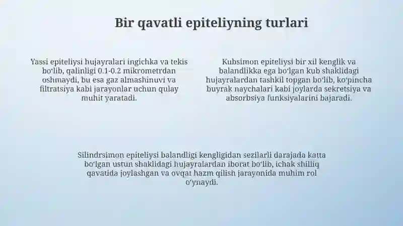 Bir qavatli epiteliy 4