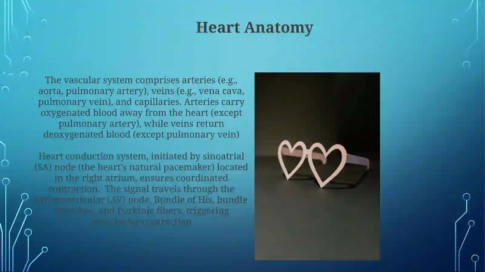 Heart and Vascular System 4