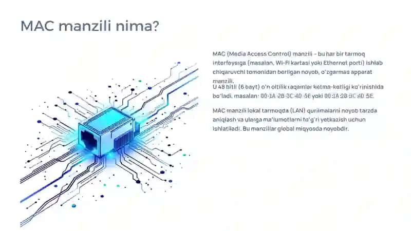 Kanal Sathi (Data Link Layer): Asosiy Vazifalari 4
