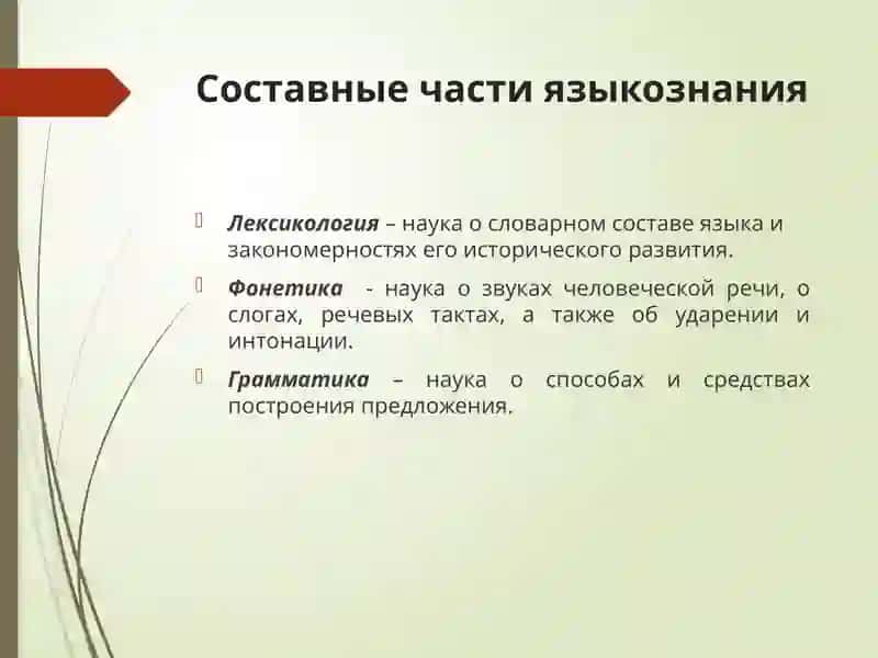 Языкознание как наука о языке 4